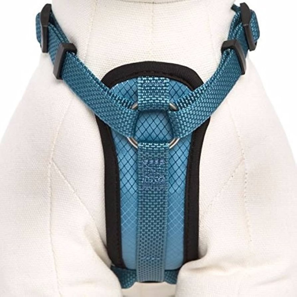 KONG Comfort Padded Dog Harness Large Blue - Picture 4 of 9